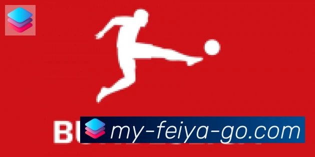 飞亚体育合作伙伴